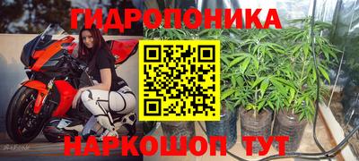 спиды Можга