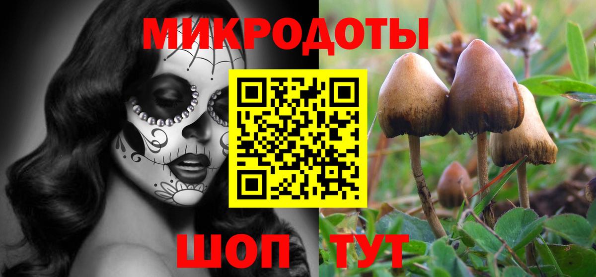 Псилоцибиновые грибы прущие грибы Сыктывкар